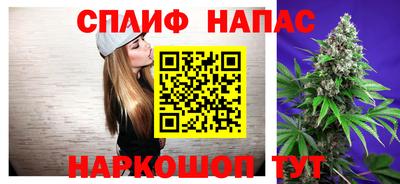 гидра Будённовск